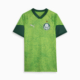 Camisa Palmeiras Treino e Viagem 24/25 - Torcedor Masculina - Verde