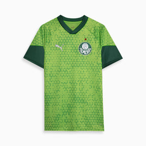 Camisa Palmeiras Treino e Viagem 24/25 - Torcedor Masculina - Verde