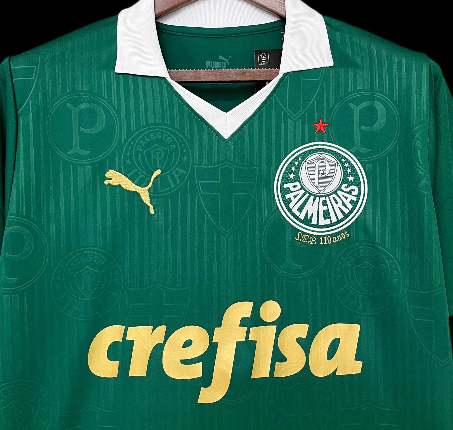 Camisa Palmeiras Titular 24/25 - Torcedor Masculina - Verde