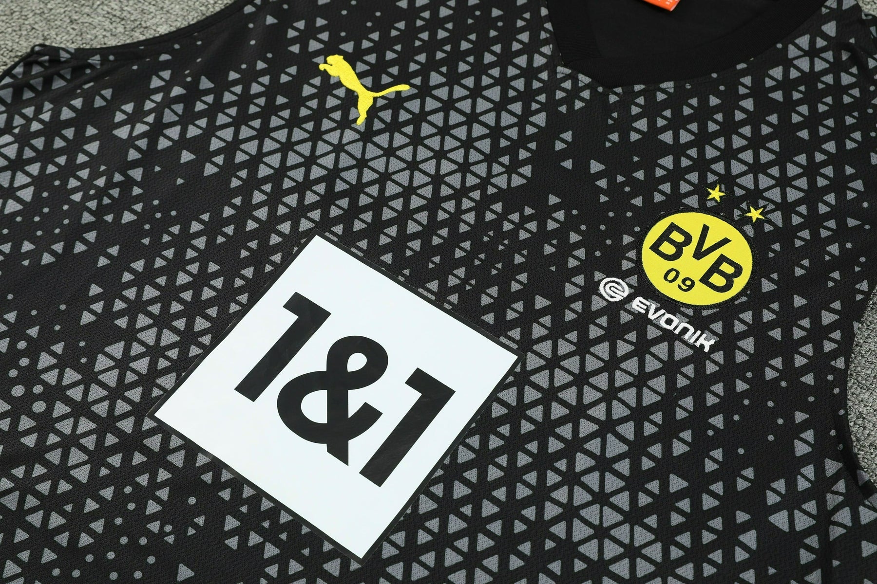 Kit Treino Regata Borussia 23/24